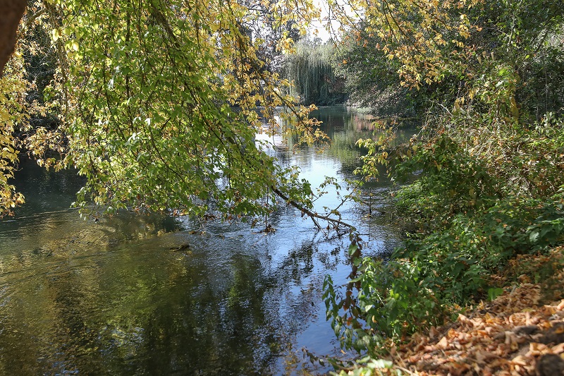 Le Muhlbach